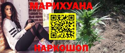 индика Донской