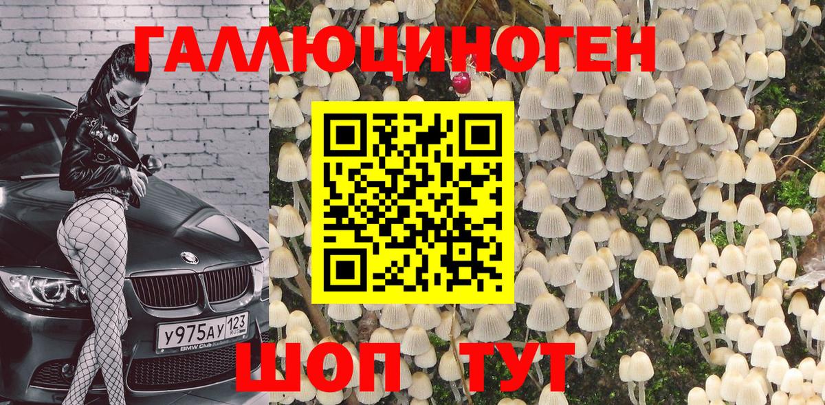 Галлюциногенные грибы Cubensis  где можно купить наркотик  Муром  Вход с VPN 